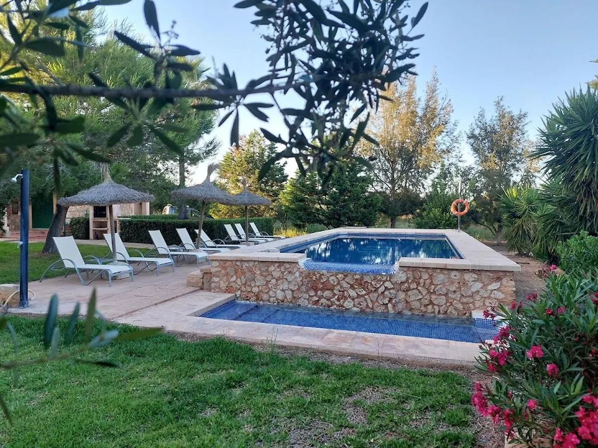 Els Girasols Winter Villa Campos  Spain