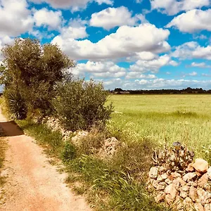 Casa vacanze Arthouse Campos Mit Haus Galeria 110qm Und Appartementhaus Mit Patio 30qm, Campos (Mallorca)